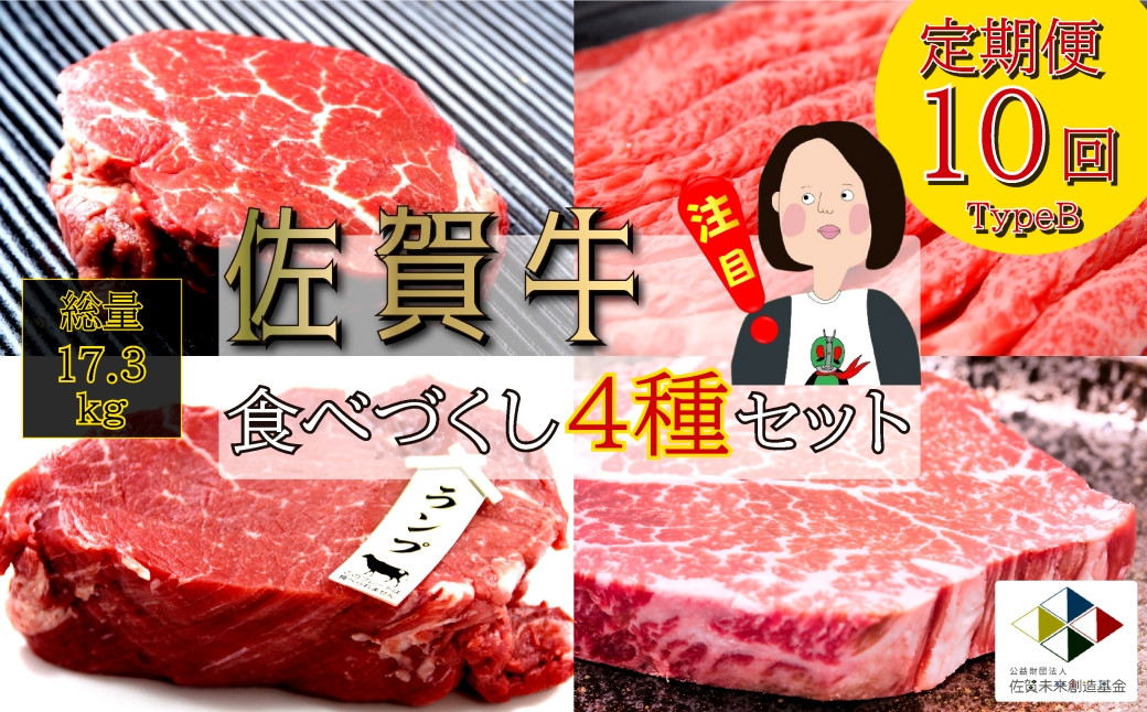 
【定期便：全10回】佐賀牛食べづくし4種セット総計17.3kg：TypeB
