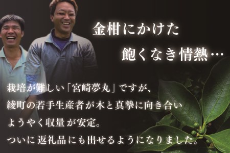 きんかん「宮崎夢丸」1kg