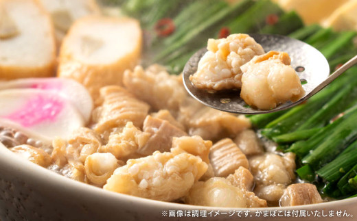 【定期便6か月】 もつ鍋 8人前×6回 ホルモン うどん モツ鍋