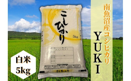 【定期便】【令和8年産 新米予約】南魚沼産コシヒカリ「YUKI」白米5kg×全6回【定期便 銘柄米 ブランド米 精米 こしひかり コシヒカリ 魚沼産 新潟米 産地直送 お米 米 こめ コメ ご飯】【2026年10月上旬より1ヶ月以内に順次発送予定】