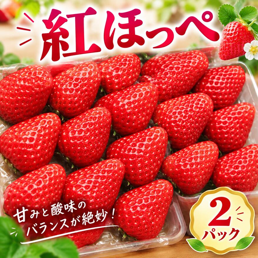 【ふるさと納税】 いちご 紅ほっぺ 2パック 先行予約 苺 希少 品種 アマリン イチゴ フルーツ 果物 国産 ふるさと納税いちご ギフト 産地直送 青果 家庭用 贈答用 デザート 冷蔵 スムージー ジュース べにほっぺ 風の子ファーム 埼玉県 羽生市