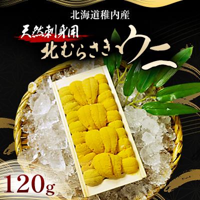ふるさと納税 稚内市 『天然刺身用』北むらさきウニ 120g ウニ 刺身 海鮮