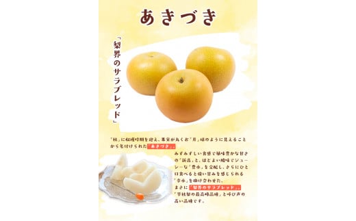 きのみ農園の吉野梨(あきづき) 約3kg 熊本県氷川町産 きのみ農園《8月中旬-9月上旬頃出荷》---sh_ckinoaki_g8_23_14000_3kg---