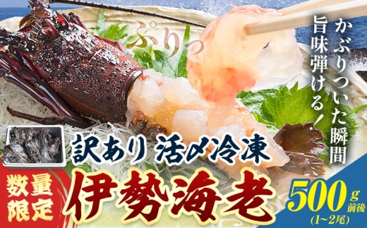 数量限定 訳あり 活〆冷凍 伊勢海老 500g前後(1～2尾) 寺田水産《30日以内に出荷予定(土日祝除く)》千葉県 勝浦市 伊勢海老 海老 えび【配送不可地域あり】（離島）