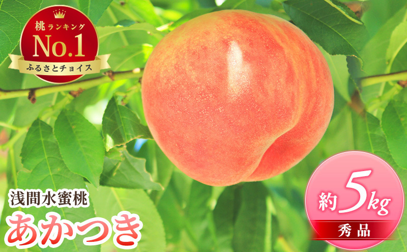 ふるさと納税  2025年発送 浅間水蜜桃 もも あかつき 秀品 約5kg 長野県産 小諸市 桃 果物 フルーツ モモ 果肉 