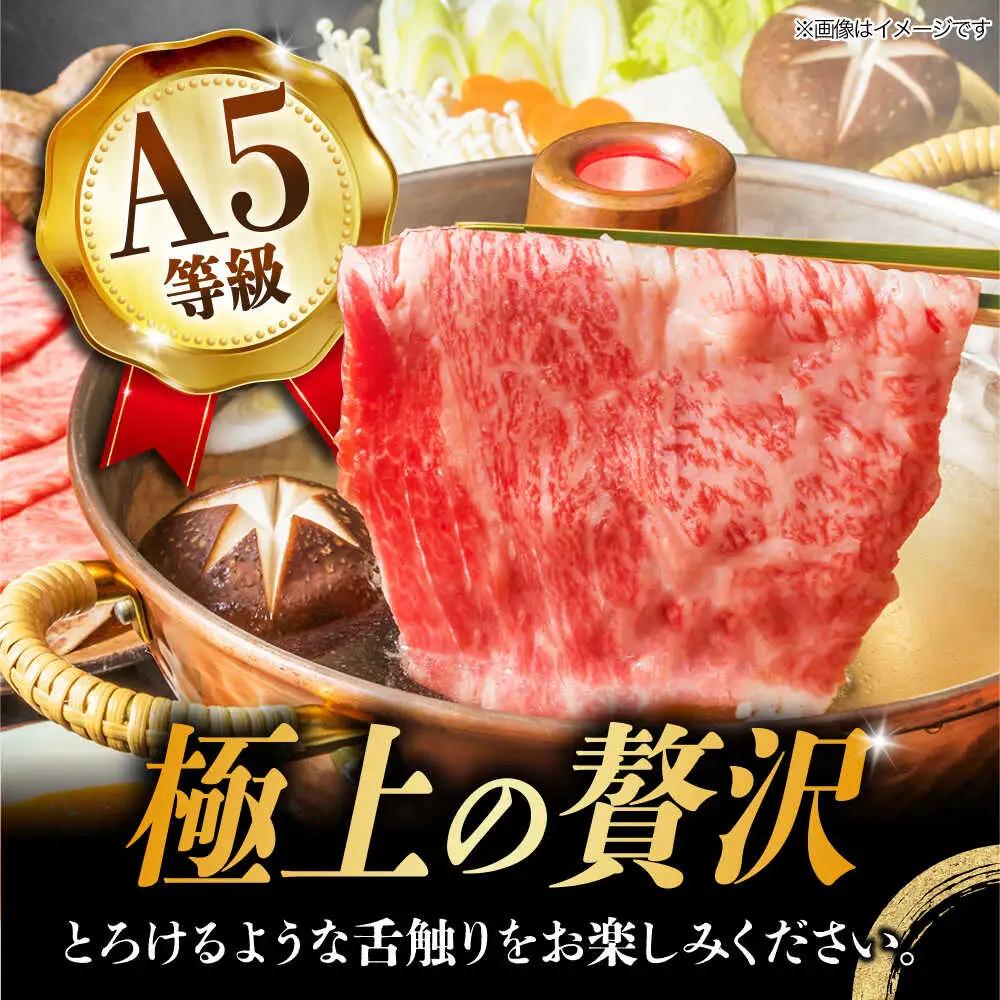 【3回定期便】【飛騨牛】A5等級 ロース 肩ロース しゃぶしゃぶ用 1kg [TAZ027]  ロース 肩ロース