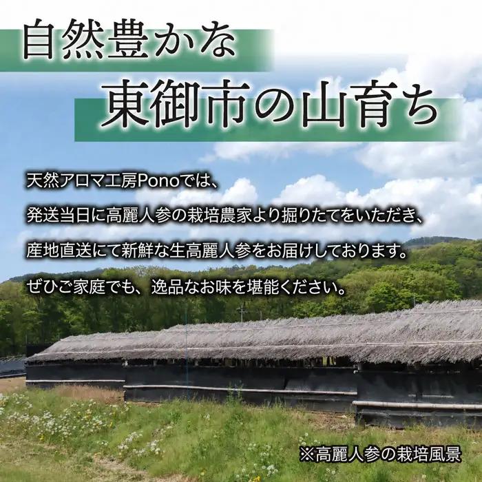【栽培期間出来るだけ農薬を減らして作った 生高麗人参】2年生 太物 約200g 国産 朝鮮人参｜天然アロマ工房Pono　※2026年10月中旬～11月下旬お届け予定