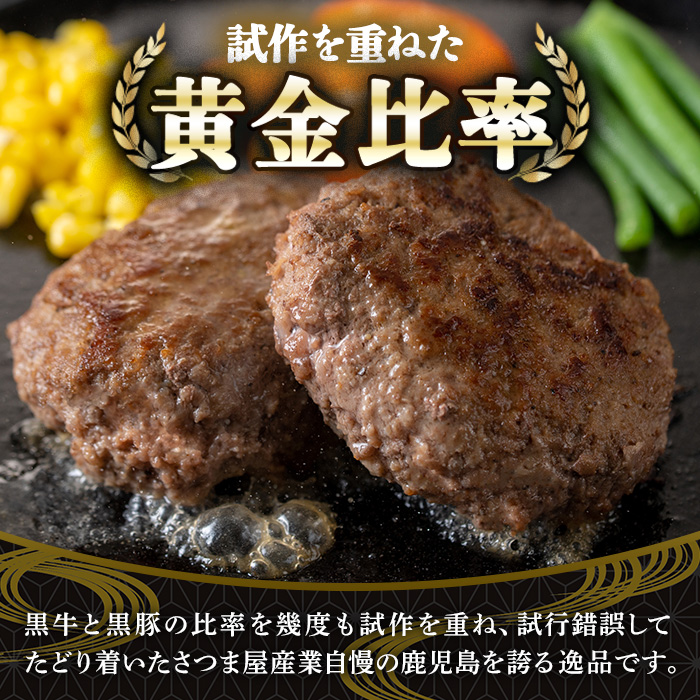 y445 ＜定期便・全3回(連続)＞鹿児島黒牛黒豚ハンバーグ(10個・計1.3kg×3回) 国産 九州産 鹿児島県産 お肉 ぶた ブタ 豚肉 牛肉 ミンチ パック 小分け 冷凍 冷凍ハンバーグ 定期便