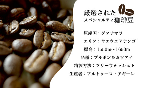 スペシャルティ珈琲豆のグアテマラ／トラディショナル 各100g飲み比べセット（計200g） コーヒー