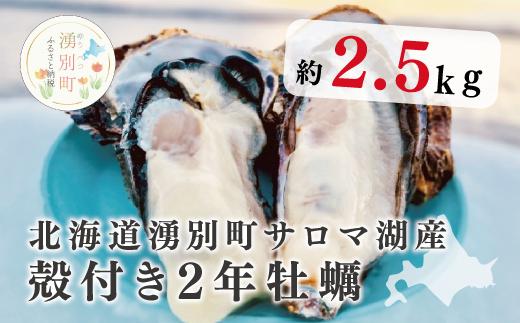 
【国内消費拡大求む】[№5930-0364]≪先行予約11月中旬から発送≫北海道湧別町サロマ湖産　殻付き牡蠣2.5㎏　牡蠣　かき　カキ　海鮮　魚介　国産　殻付き　冷蔵　焼き牡蠣　蒸し牡蠣　産地直送　生牡蠣　生食　サロマ湖　オホーツク　北海道　湧別町
