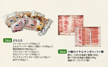 定期便 全3回 北海道十勝幕別のブランド放牧豚 食べ比べ バラエティ