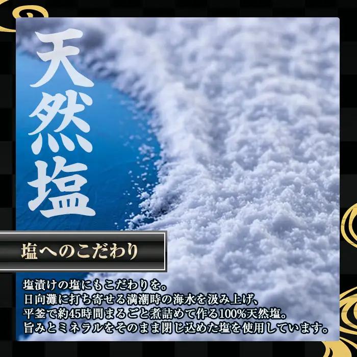 ＜訳あり＞宮崎からすみ寒(100g)＜からすみパウダー40g付＞ カラスミ 魚卵  簡易包装 【AW-41】【丸正水産】