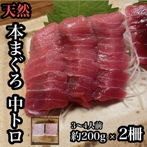 貴重な天然本鮪 中トロ 約200g 2柵　約3 4人前●くどくない上質な脂が美味しい！【とろ マグロ 惣菜 海鮮 お取り寄せ 御中元 お中元 お歳暮 父の日 母の日 贈り物 日本酒 焼酎 マグロ マグロ マグロ マグロ マグロ】【神奈川県小田原市早川】