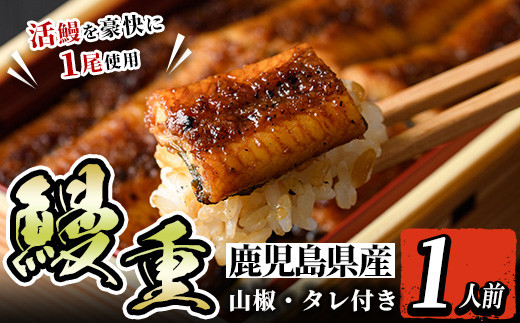 i799 鹿児島県産 鰻重(1人前) うなぎ 鰻 ウナギ うな重 国産 鹿児島県産 おかず 晩御飯 特別な日【とらふぐ家】