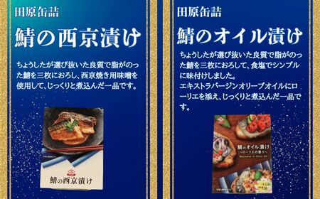 鯖尽くし 缶詰 7缶セット さば 鯖 厳選 田原缶詰 信田缶詰 人気 選りすぐり 銚子名産 鯖缶 さば缶 非常食 常備食 備蓄 災害 防災 保存食 常温 お取り寄せ グルメ ふるさと納税 送料無料 千