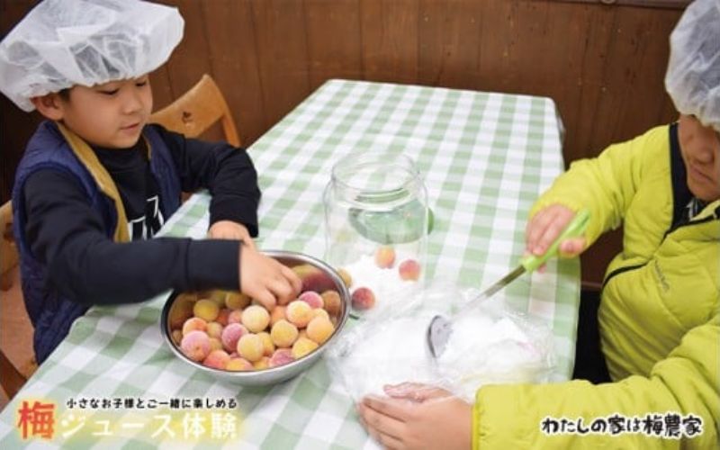 カフェドマンマ食事券1500円分＆梅ジュースづくり体験チケット  【iwasho012A】