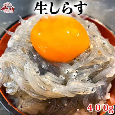 
生しらす(お刺身) 400ｇ(100ｇ×4個) 岬だより
