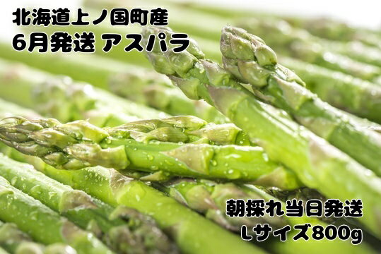 【ふるさと納税】【2026年6月発送】寅福菜園の朝採り6月限定アスパラ　L（800g）　グリーンアスパラ　朝採れ　農家直送　新鮮　ジューシー　特産品　北海道産