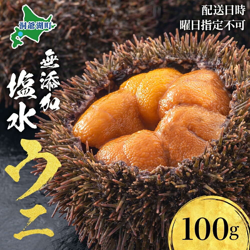 【ふるさと納税】北海道 無添加塩水 ウニ 100g 1パック 6月中旬～8月末頃まで順次出荷 バフン ムラサキ うに 雲丹 海鮮 小川商店 　お届け：2026年1月下旬～3月中旬頃まで順次出荷 　※配送日時・曜日指定不可・水揚げ後順次出荷のみ対応となります。