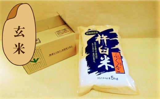 
            【玄米2ヶ月定期便】特別栽培「きなうす米」ふっくりんこ5kg×2回　H049
          