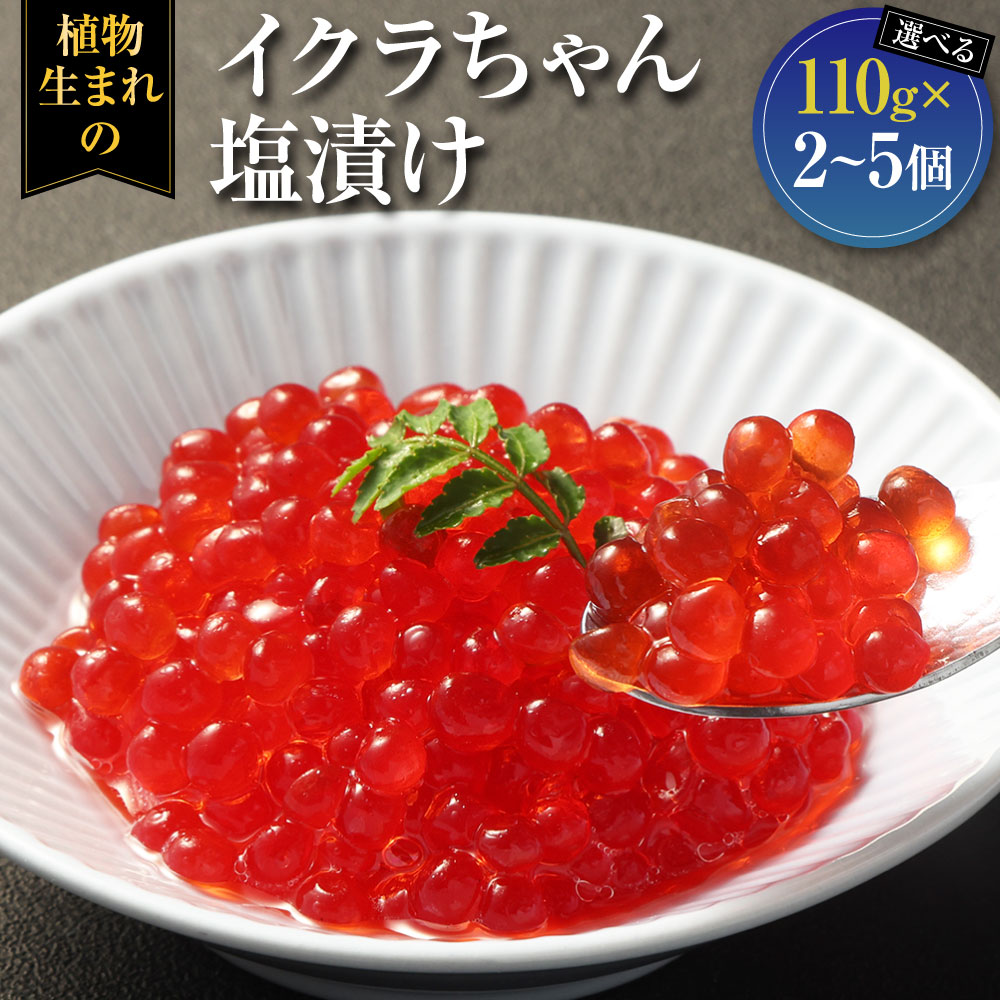 【ふるさと納税】＜選べる内容量＞植物生まれのイクラちゃん 塩漬け 1個110g 計220g（2個） / 計330g（3個） / 計550g（5個） プラントベースフード コレステロールゼロ プリン体ゼロ オメガ3脂肪酸 常温保存可 動物性原料不使用 九州 熊本県 送料無料