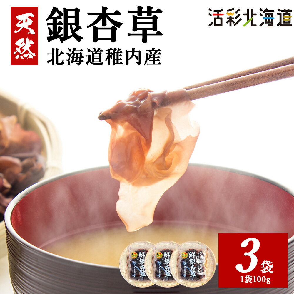 【ふるさと納税】【希少 な 海藻 】稚内産 天然 銀杏草 100g ×3袋 北海道 国産天然 海藻 銀杏草 仏の耳 海藻 海鮮 海産物 北海道ふるさと納税 稚内 ふるさと納税 北海道 【配送不可地域：離島・沖縄県】