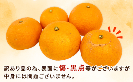 はっさく 訳あり 八朔 10~12kg 先行予約 ふるくとファーム かなこちゃんち 果物 くだもの フルーツ 柑橘 みかん 蜜柑 mikan わけあり 訳アリ 訳あり品 ビタミンC たっぷり 愛媛ミカ