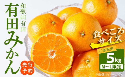 
                  【2026年先行予約】ご家庭用　有田みかん 約5kg (M、Lサイズ)【湯浅町】_AT6304
                