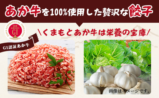 【餃子】 くまもとあか牛 100％ 餃子 計60個（20個×3パック） 冷凍 熊本県産 あか牛 ぎょうざ 惣菜 おかず 和牛 牛肉 お手軽 簡単 073-0403