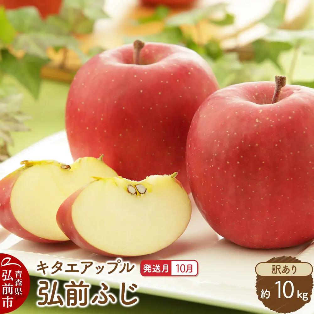 【26年10月発送】りんご 弘前ふじ【訳あり】約10kg キタエアップル 青森県 弘前市