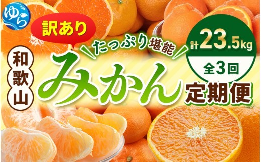 たっぷり23.5kg！ 【3か月定期便】訳ありみかんの定期便【tkb113】