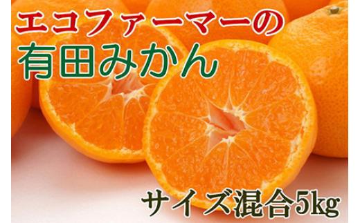 エコファーマーのこだわり有田みかん約5kg(サイズ混合)★2025年11月中旬～2026年1月中旬頃順次発送 【tec961A】