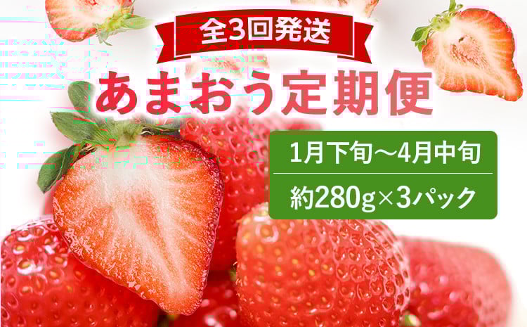 
            【2026年先行いちご定期便】あまおう3パックｘ3回(1月下旬～、2月～、3月～発送) お取り寄せグルメ お取り寄せ 福岡 お土産 九州 福岡土産 取り寄せ グルメ 福岡県
          