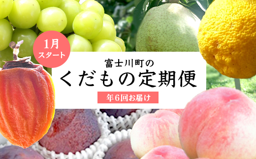 【フルーツ王国やまなし】旬のくだもの定期便＜年6回＞ 枯露柿 もも モモ 桃 すもも 貴陽 シャインマスカット ラフランス ゆず フルーツ 果物 くだもの フルーツ 定期便 山梨 やまなし 富士川町