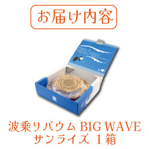 バウムクーヘン 1個 波乗りバウム ドリームチーム