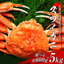 【ふるさと納税】ズワイガニ 姿 ボイル 済 冷凍 選べる約600g～4kg 1尾～5尾 ずわい 蟹 カニずわいがに ズワイガニ ずわい蟹 ずわいガニ ズワイかに ずわいカニ 蟹 姿 カニ ボイル ズワイ姿 北海道ふるさと納税 白老 ふるさと納税 北海道