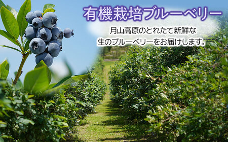 【令和7年産先行予約】月山高原のオーガニックブルーベリー(大粒1kg)　K-758