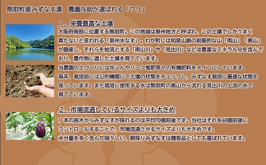 みずなす漬け5個＋生みずなす5個セット