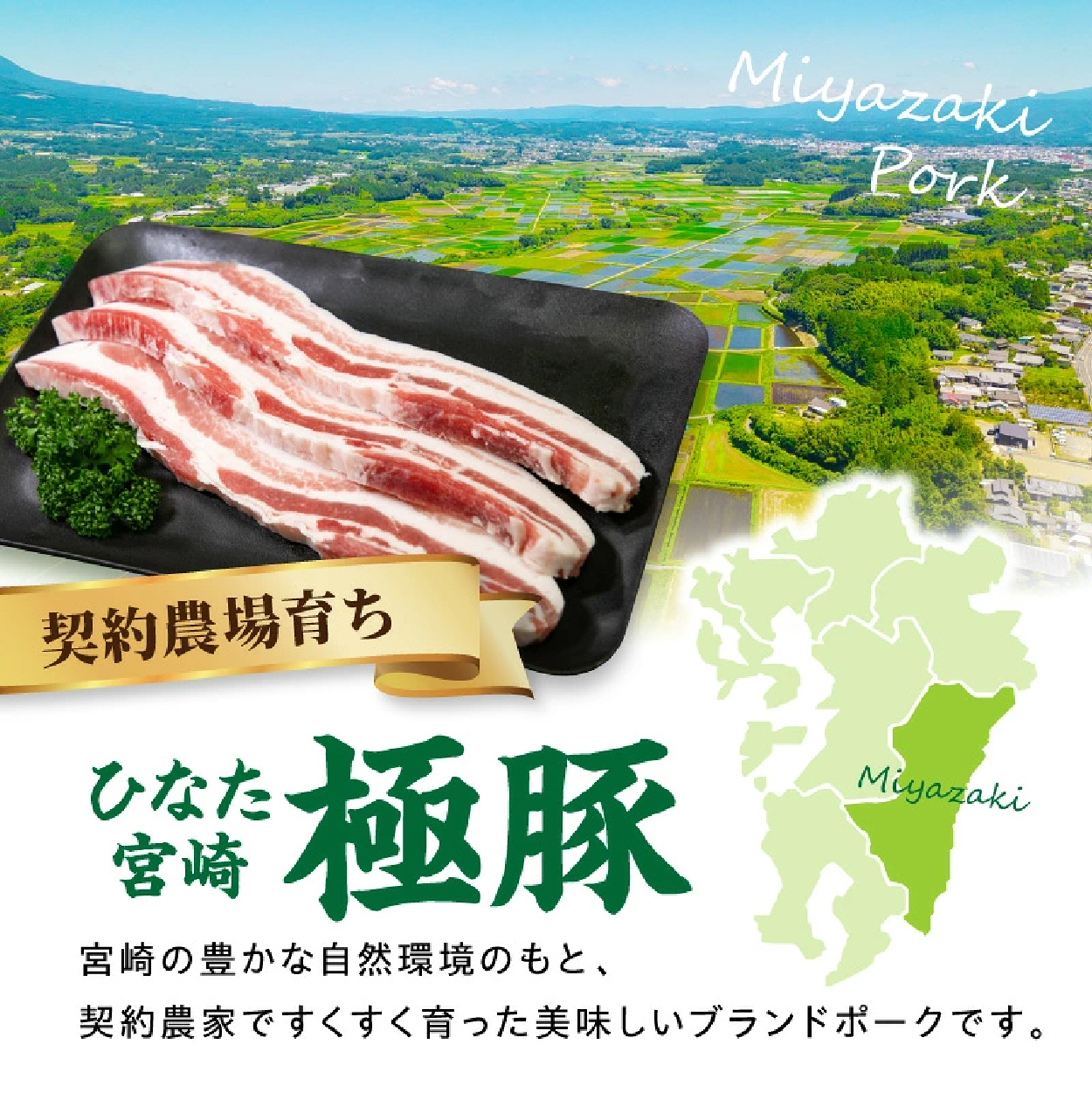 ひなた宮崎極豚バラ新鮮厚切り肉 計1.2㎏（サムギョプサル、BBQ、焼肉）