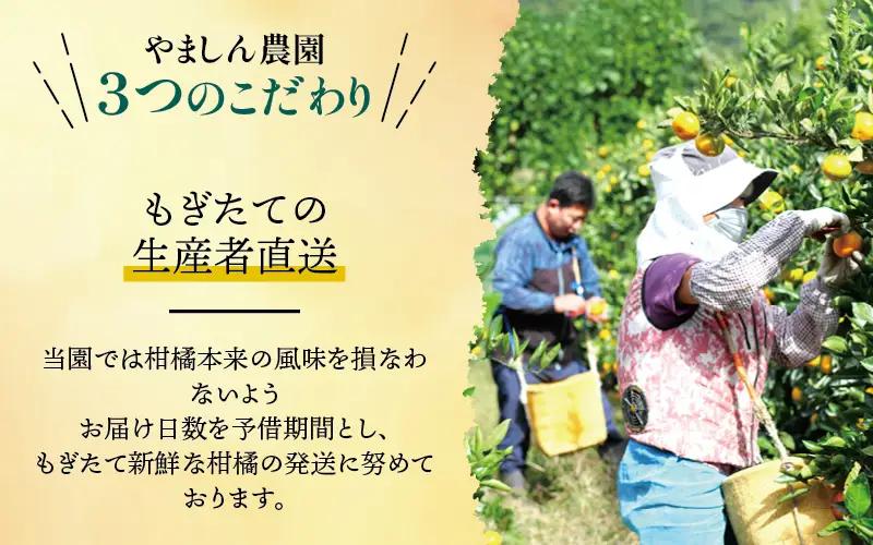 有田 みかん 訳あり 4kg 光センサー 選別 / 温州みかん 有田みかん 甘い 家庭用 和歌山 柑橘 ※2026年12月順次発送 ※北海道・沖縄・離島への配送不可 【nuk004-c-4-decH】