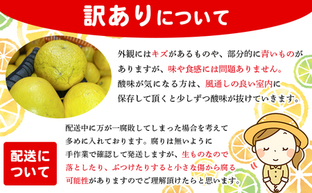 ＜木下さんちのニューサマーオレンジ 訳あり 約5kg（大中小サイズ混み）＞ 柑橘類 日向夏 ミカン 蜜柑 果物 くだもの フルーツ 国産 特産品 木下農園 愛媛県 西予市【常温】『2026年4月上旬～