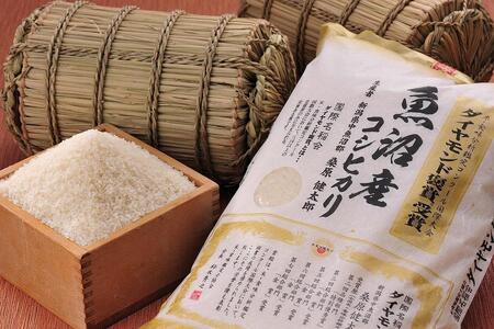 令和8年産 魚沼産コシヒカリ ダイヤモンド褒賞受賞 特別栽培米 20kg（5kg×4袋） |津南町 魚産
