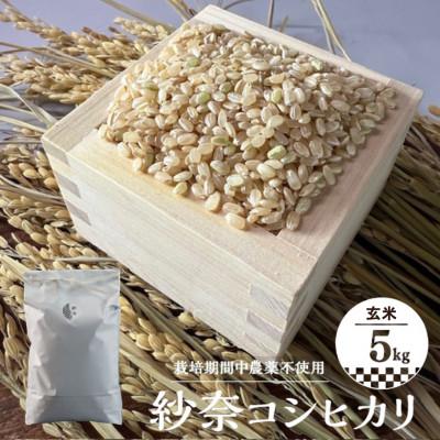 ふるさと納税 阿南市 【玄米5kg】紗奈〜はまだ農園 　玄米(コシヒカリ)