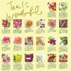 ムレスナティー 40種の人気ブレンドコレクション 贈り物にも最適！｜野洲市 ムレスナティー 紅茶 アソート セット フレーバーティー 香り豊か ティータイム 贈答用 ギフト プレゼント お取り寄せ 通