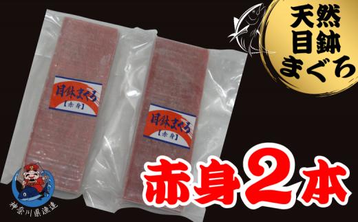 神奈川県漁連 天然目鉢マグロ 赤身サク 150g×2P　M077-010