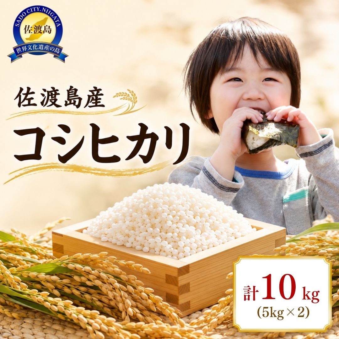 【ふるさと納税】佐渡島産　コシヒカリ　10kg（5kg×2）　令和7年産