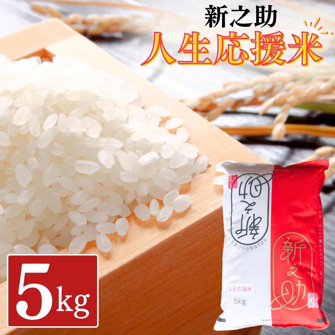 【ふるさと納税】新之助人生応援米 5kg 令和7年産 新之助 白米 アグリ巧房【012S079】