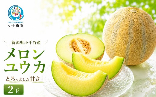 【 先行予約 数量限定 】 新潟県小千谷産 とろける甘さ ユウカメロン 約2kg×2個 ( 7月下旬~8月上旬発送予定 ) 芳醇  甘い 旬 専門店 希少品種 優香 幻のメロン 令和8年産 2026年発送 農園ビギン | メロン めろん 果物 くだもの フルーツ ふるーつ 青果 果実 お取り寄せ ギフト 新潟県 小千谷市 【0002-0248】