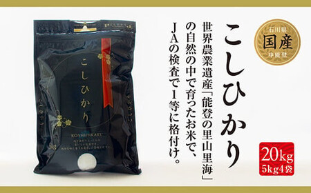 米 能登米 コシヒカリ 5kg 4袋 計20kg