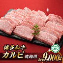 【ふるさと納税】博多和牛カルビ焼肉（定期便：全12回）.K037